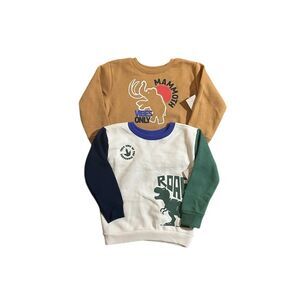 NWT Garanimals Toddler Boys Sweatshirt Lot Size 2T Fleece sweater dinosaur